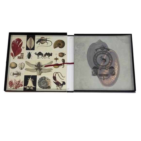 Natural Curiosities Conchology Vita In Profundum Art Print Collection 1st Ed - Picture 5 of 12